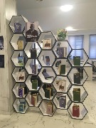 313413929_540815241218008_7876347453755872727_n.jpg