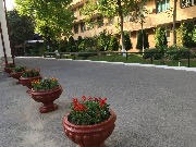 0CEFD288-35BF-4861-B8AD-B135FD40B851.jpeg