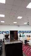 IMG_6333.JPG