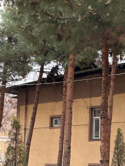 Markazda kush-qish mavsumiga tayyorgarlik ko‘rish ishlari jadal davom etmoqda.