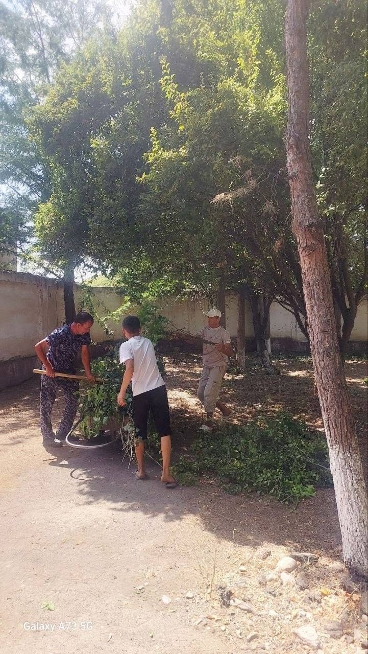 Тошкент вилояти Эндокринология диспансерда "Долзарб 40 кунлик" тадбири доирасида кенг кўламли хашар ва ободонлаштириш ишлари изчил олиб борилмоқда.