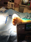 photo_2022-12-26_11-25-52 (3).jpg