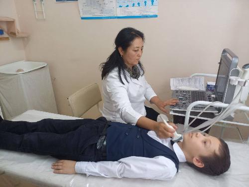 In the Tashkent region, endocrinologists organized screening and analytical activities among schoolchildren in the city and district on the topic of "Assessing Iodine Deficiency."