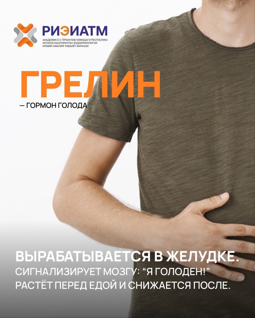 491429082_18040413839545413_842386289092605561_n.jpg 491429082_18040413839545413_842386289092605561_n.jpg