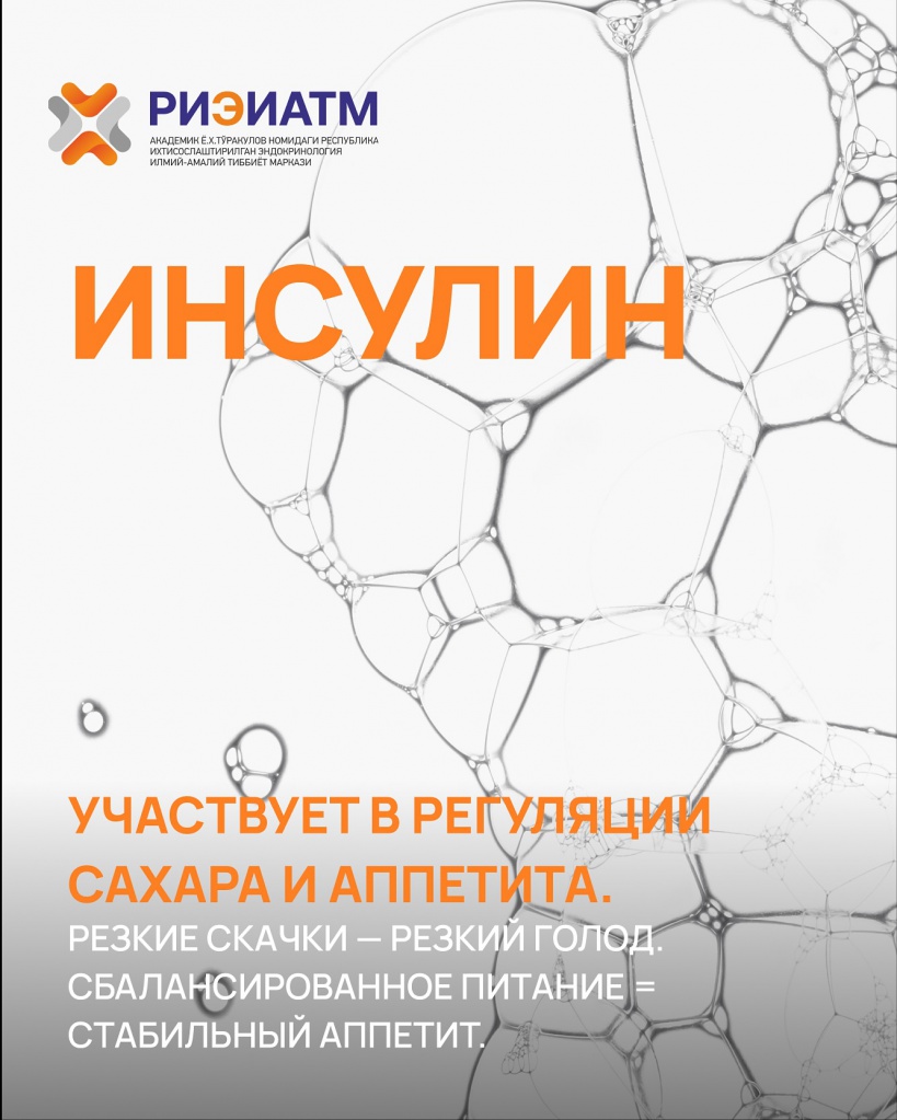 494744260_18040413851545413_8056900284742195616_n.jpg 494744260_18040413851545413_8056900284742195616_n.jpg