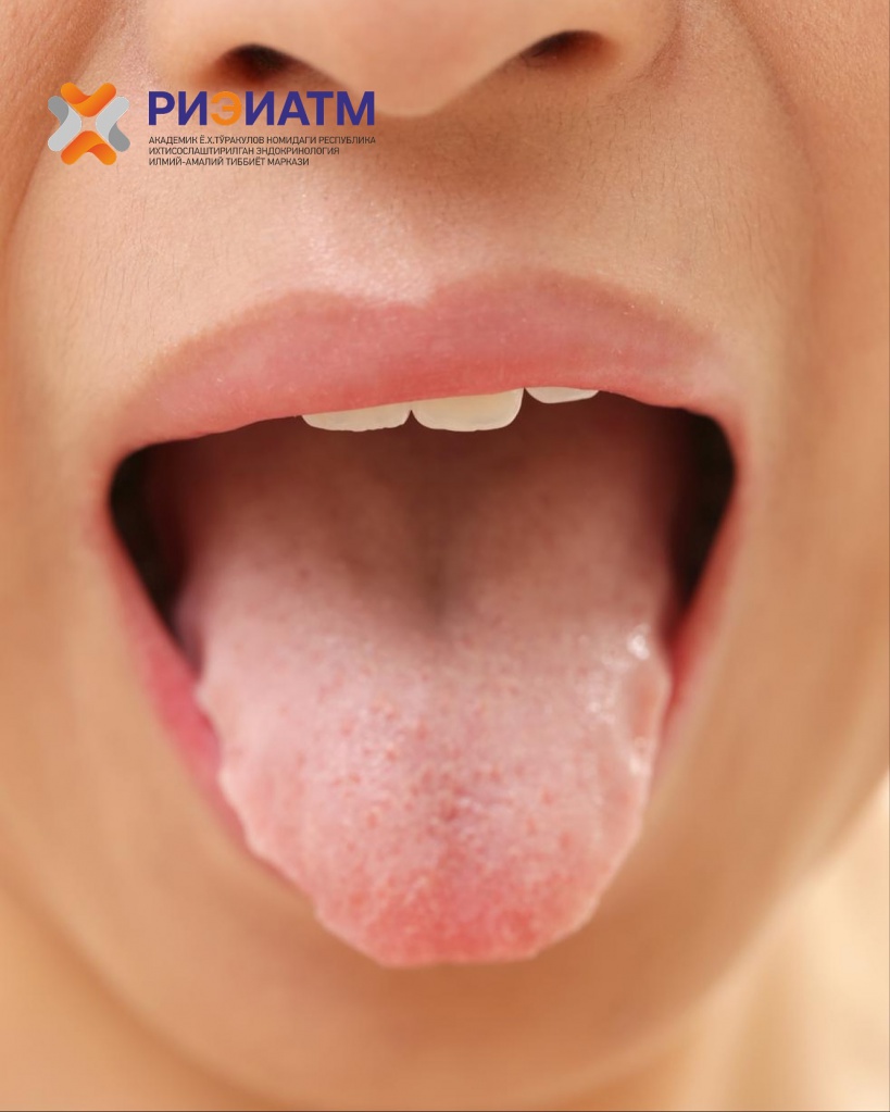 516099047_18047103632545413_1936834091448061920_n.jpg 516099047_18047103632545413_1936834091448061920_n.jpg