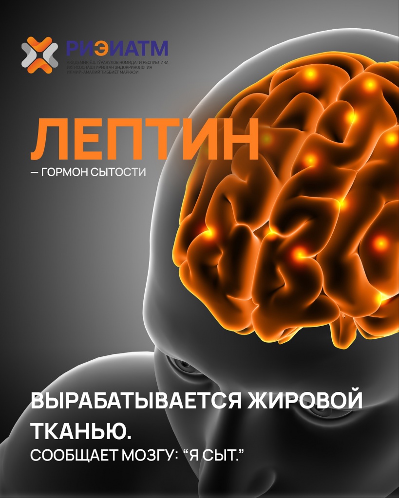 491426913_18040413860545413_3929475398663774711_n.jpg 491426913_18040413860545413_3929475398663774711_n.jpg