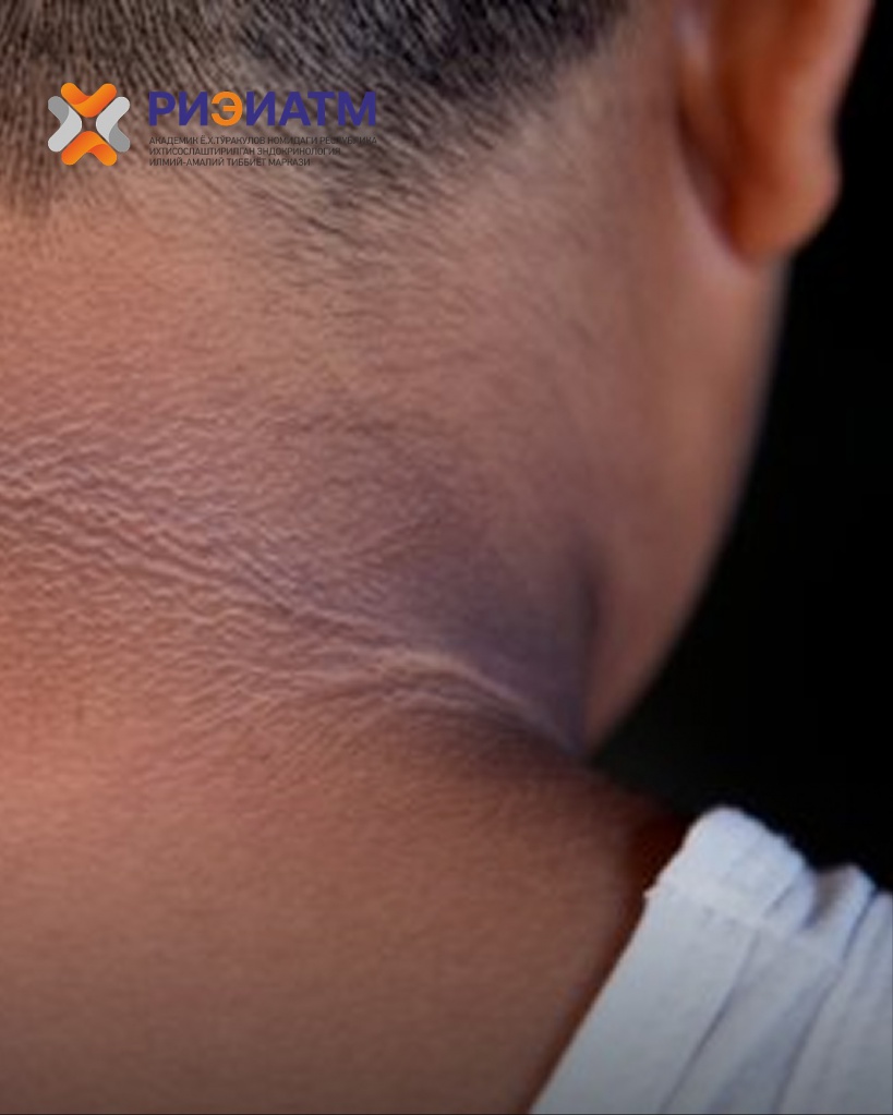 503523071_18045781385545413_6167514849765420214_n.jpg 503523071_18045781385545413_6167514849765420214_n.jpg