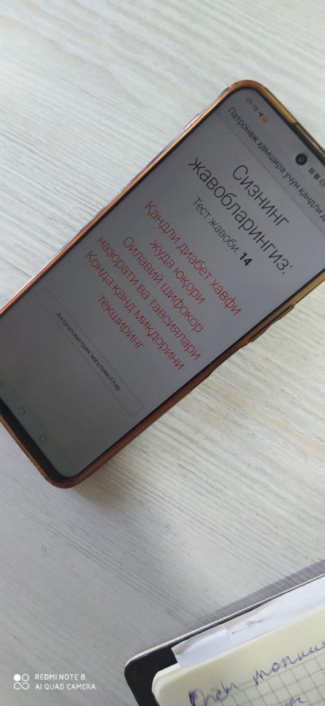 426723097_714616367506208_6439019990799711854_n.jpg