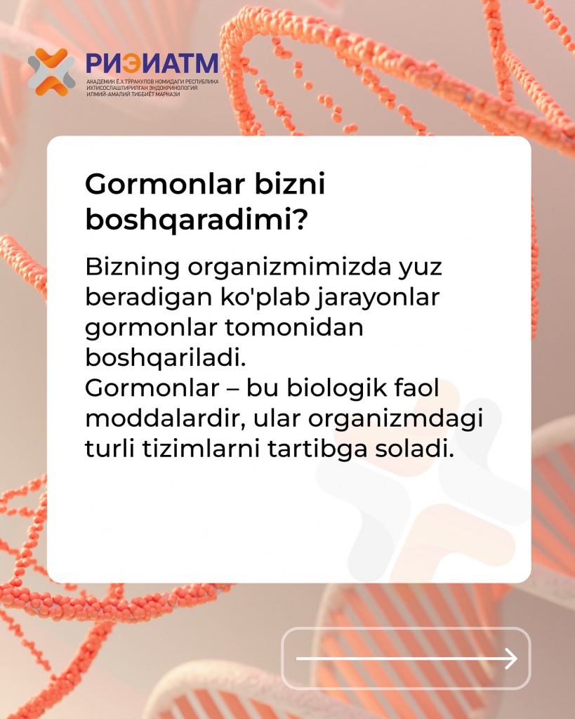 490550377_18039374624545413_8196634175084669069_n.jpg 490550377_18039374624545413_8196634175084669069_n.jpg